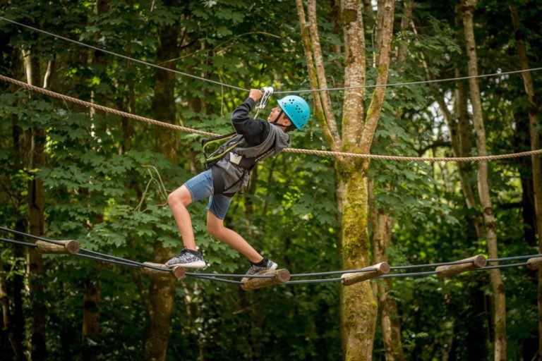 Tree-Top Adventure Walk & Climbing Wall Tree-Top Adventure Walk & Climbing Wall