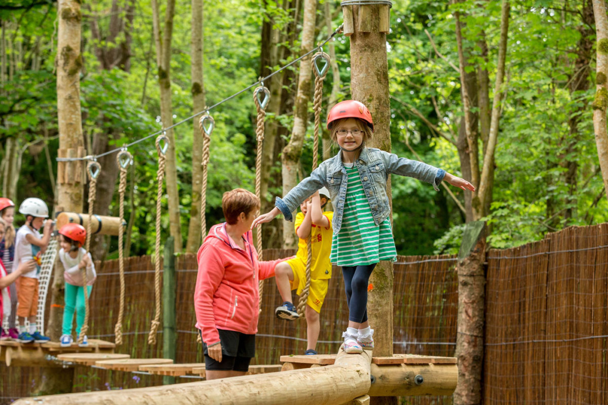 Junior Woodland Adventure Course Discovery Park