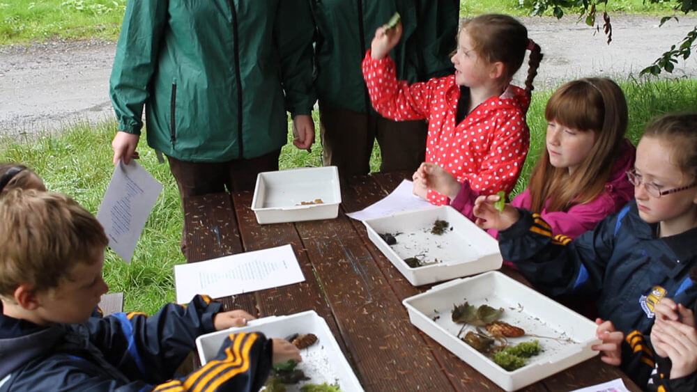 presentation primary school castlecomer