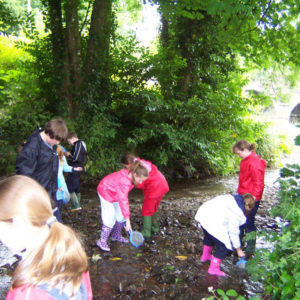 Primary Schools Primary Schools