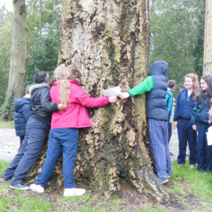 Primary Schools Primary Schools