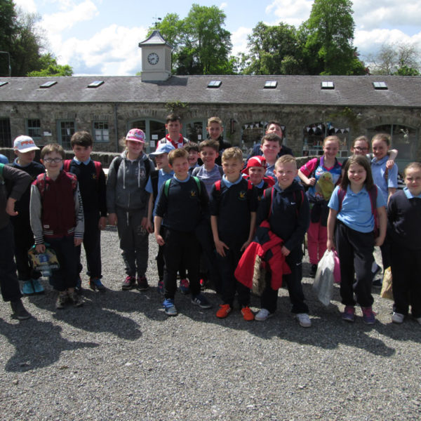 Primary Schools Primary Schools