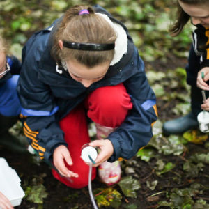 Schools Groups Castlecomer Discovery Park Schools Groups Castlecomer Discovery Park