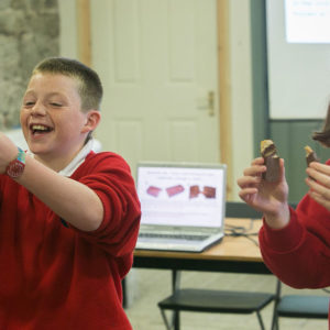 Schools Groups Castlecomer Discovery Park Schools Groups Castlecomer Discovery Park