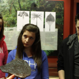 Secondary Schools Secondary Schools