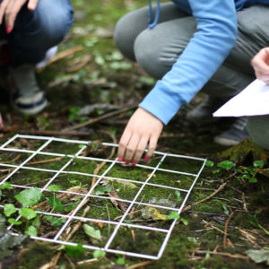 Secondary Schools Secondary Schools