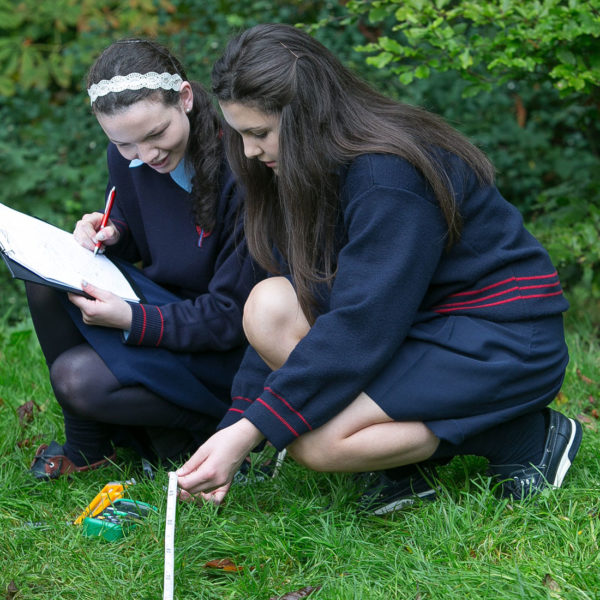 Secondary Schools Secondary Schools