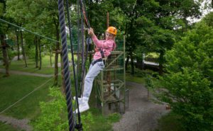 Tree-Top Adventure Walk & Climbing Wall