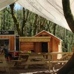 Canopy Cafe Banner