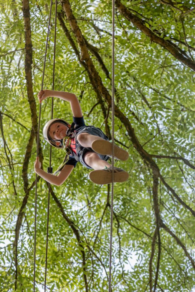 Tree Top Walk at Castlecomer Discovery Park A child wearing a helmet and harness climbs a rope high up in a tree for The Skywalk Challenge, surrounded by green leaves and sunlight filtering through the branches. The perspective is from below, looking up.