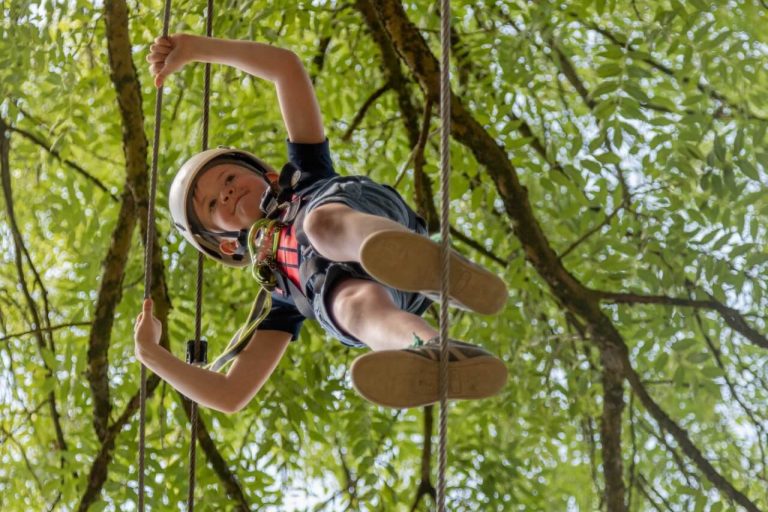 Tree Top Walk at Castlecomer Discovery Park A child wearing a helmet and harness climbs a rope high up in a tree for The Skywalk Challenge, surrounded by green leaves and sunlight filtering through the branches. The perspective is from below, looking up.