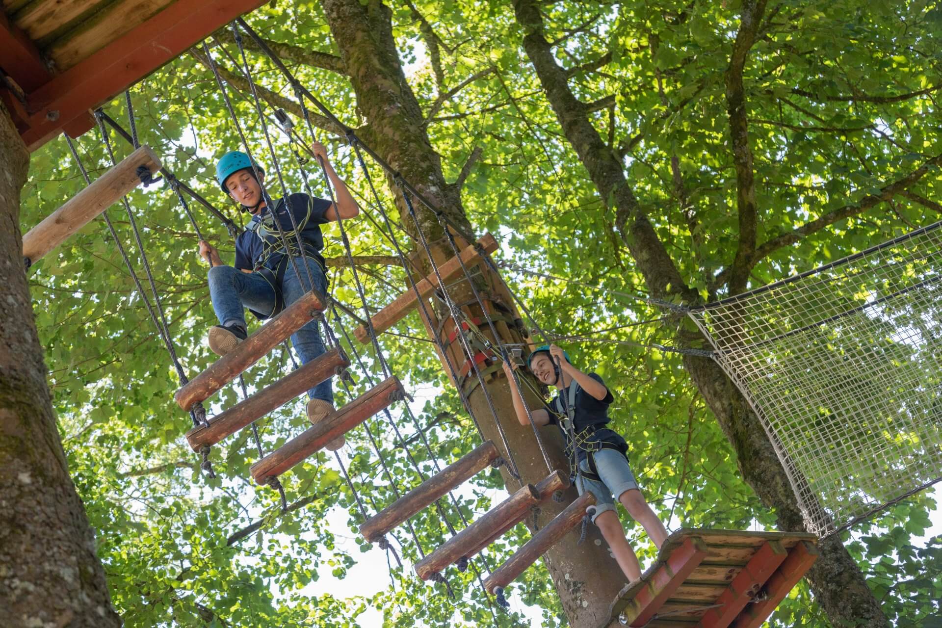 Tree Top Adventure Walk - Castlecomer Discovery Park Kilkenny1920 x 1280