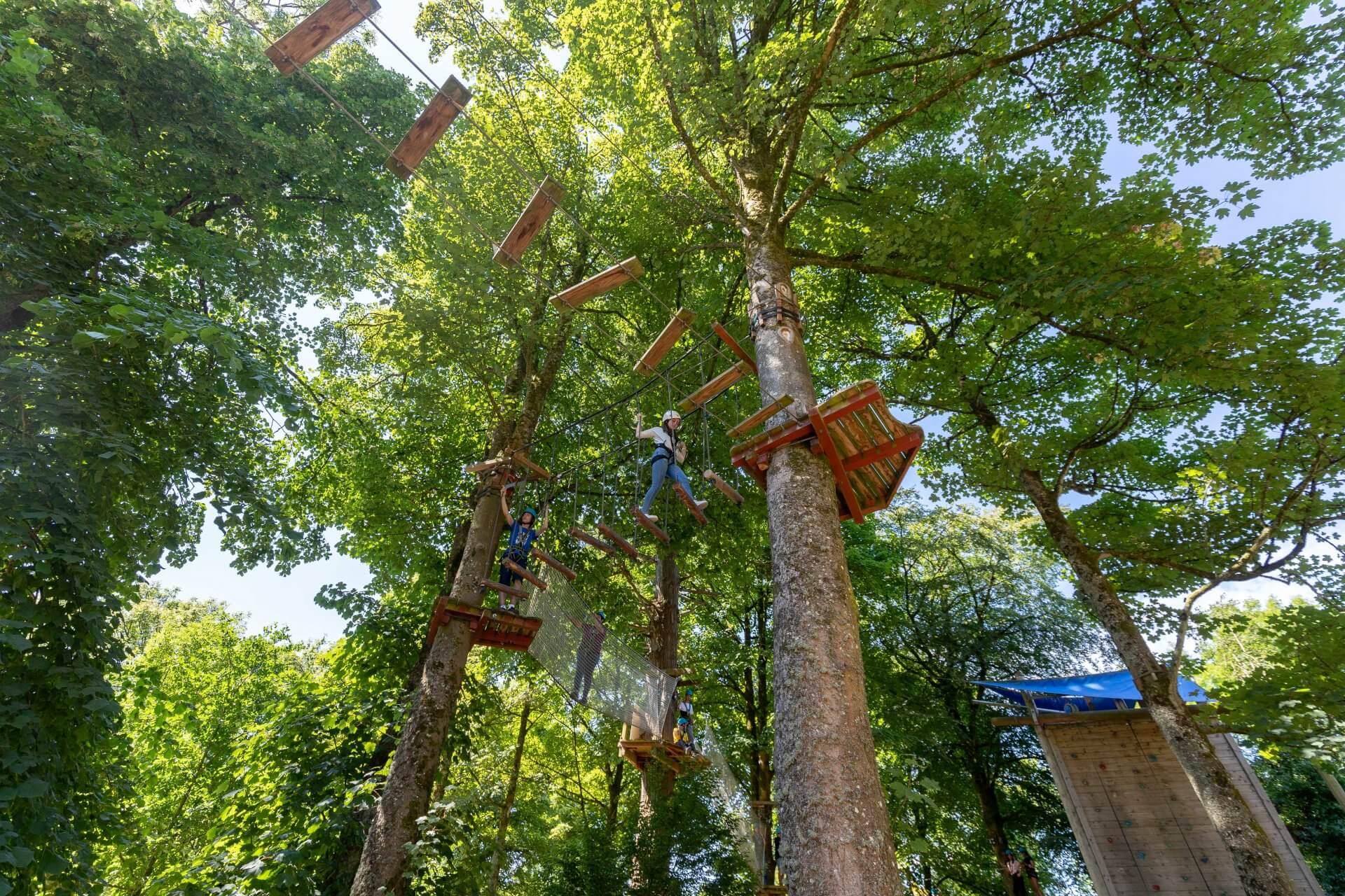 tree top adventure walk