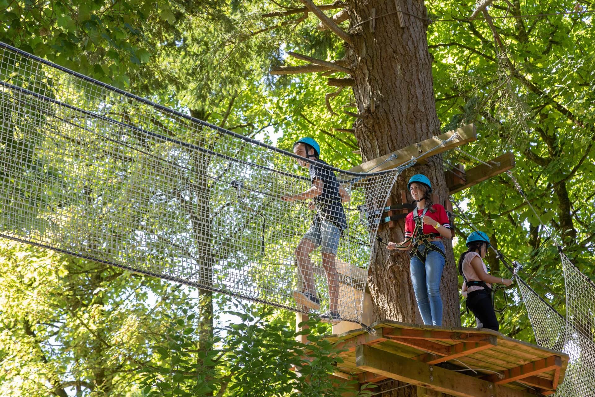 Tree Top Adventure Walk - Castlecomer Discovery Park Kilkenny