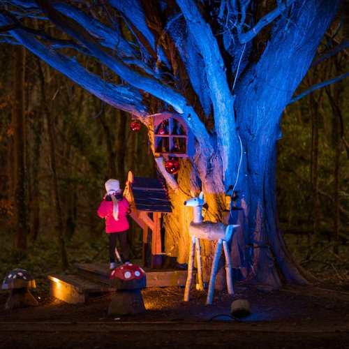 Christmas at Castlecomer Discovery Park