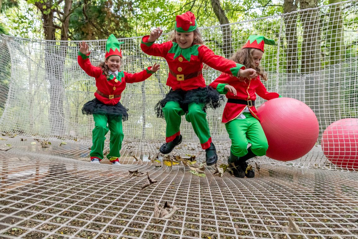 Discovery Park Magical Woodland Christmas is now open!