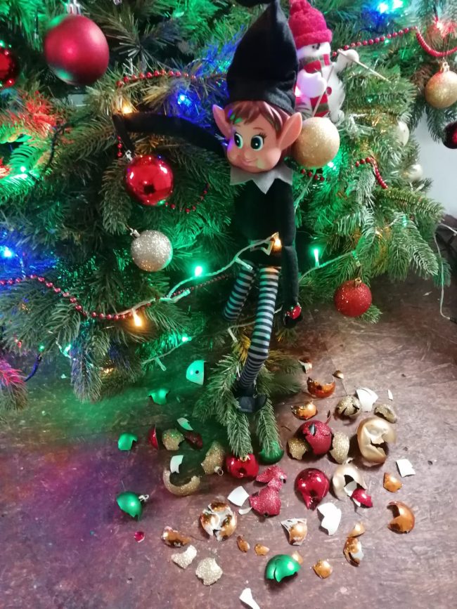 Elf on the shelf fun at Castlecomer (002)