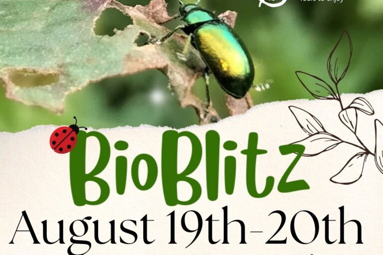 Bio blitz
