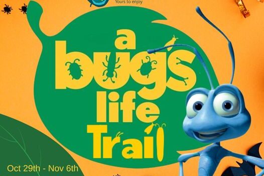 Bugs Life