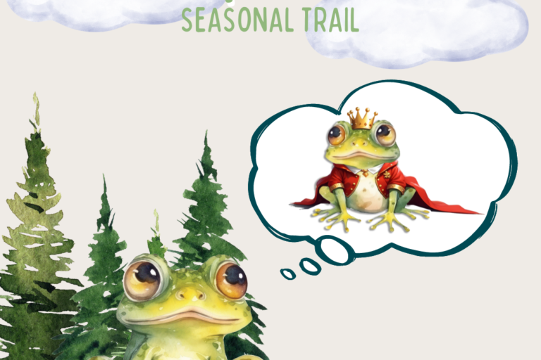 Summer Seasonal Trail (feed) (1)