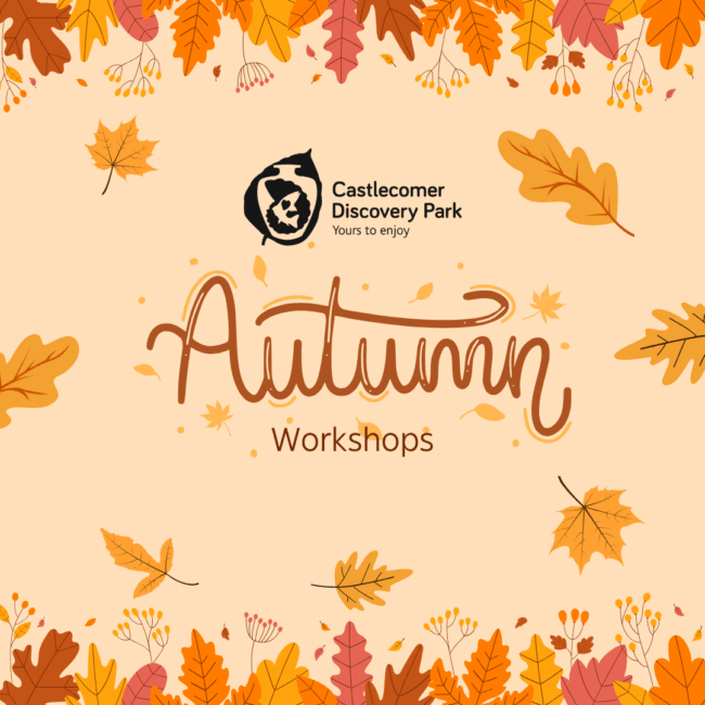 Shine Korea Kpop & Culture Fun Autumn-themed graphic with falling orange and yellow leaves, the Castlecomer Discovery Park logo, and the text “Autumn Workshops” in decorative lettering on a light background—celebrating our Best Workplace for Health & Wellbeing recognition.