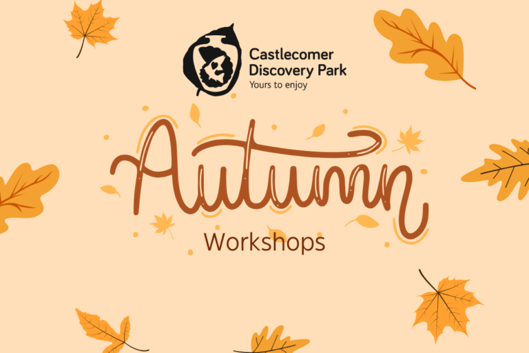 Shine Korea Kpop & Culture Fun Autumn-themed graphic with falling orange and yellow leaves, the Castlecomer Discovery Park logo, and the text “Autumn Workshops” in decorative lettering on a light background—celebrating our Best Workplace for Health & Wellbeing recognition.